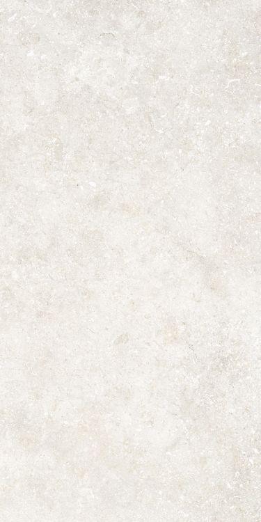 Untamed Wander White 12 x 24